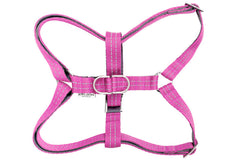Bowl and Bone Active Pink Dog Harness and Lead Set