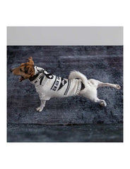 Wooldog Black & White Classy Hand-Knitted Dog Jumper