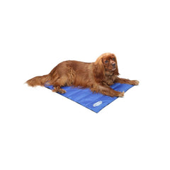 Scruffs Dog Cooling Mat | Cooling Mat For Dogs