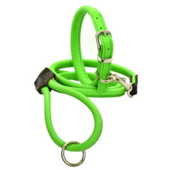 Dogs & Horses Rolled Leather Dog Collar and Lead Bright Green