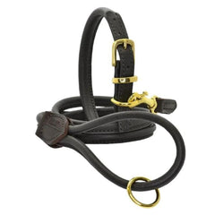 Dogs & Horses Rolled Leather Dog Collar and Lead Brown Brass