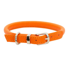 Dogs & Horses Rolled Leather Dog Collar Orange