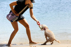 DOOG Walkie Bag - Luna Pink With Teardrops