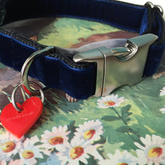 Dougal Bow Tie Designer Dog Collar by Scrufts