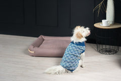 Navy Blue Stripe PULLO Dog Jumper by Labbvenn