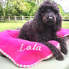 Luxury Personalised Pet Blankets In Cerise Pink & Green Apple Stripe