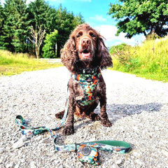 Earth Friendly Trig Point Dog Lead, Citrus Army Camo