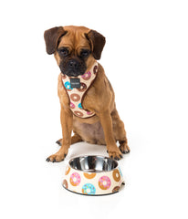 FuzzYard Go Nuts Easy Feeder Dog Bowl