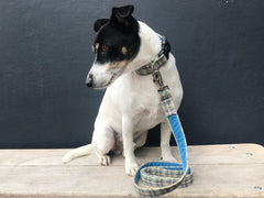 Harvest Donegal Tweed Velvet Lined Designer Dog Collar