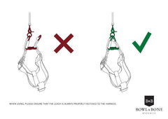 Bowl and Bone Active Pink Dog Harness and Lead Set