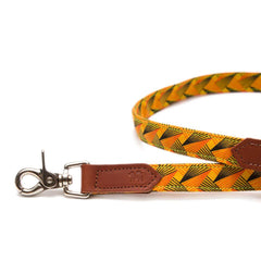 Fireworks Classic Dog Lead by Hiro and Wolf