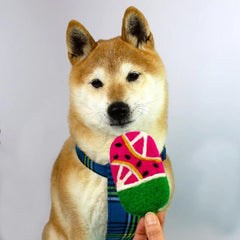 Felt Pupsicle Dog Toy | Hiro and Wolf