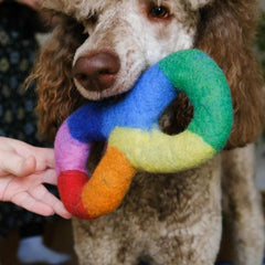Felt Rainbow Tug Dog Toy | Hiro and Wolf