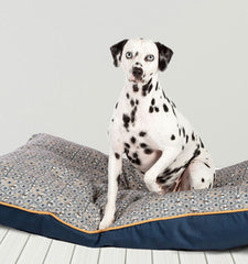 FatFace Geo Bees Deluxe Duvet Spare Cover by Danish Design