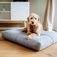 Finno Anthracite Cushion Dog Bed by Labbvenn