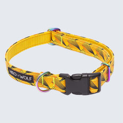 Fireworks Vegan Dog Collar by Hiro & Wolf