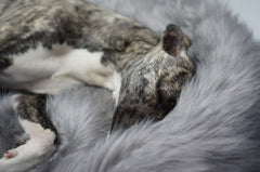 Fora Silver Grey Faux Fur Dog Blanket by Labbvenn