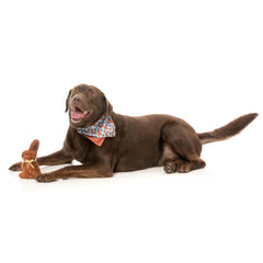 FuzzYard Choc Bunny Dog Toy