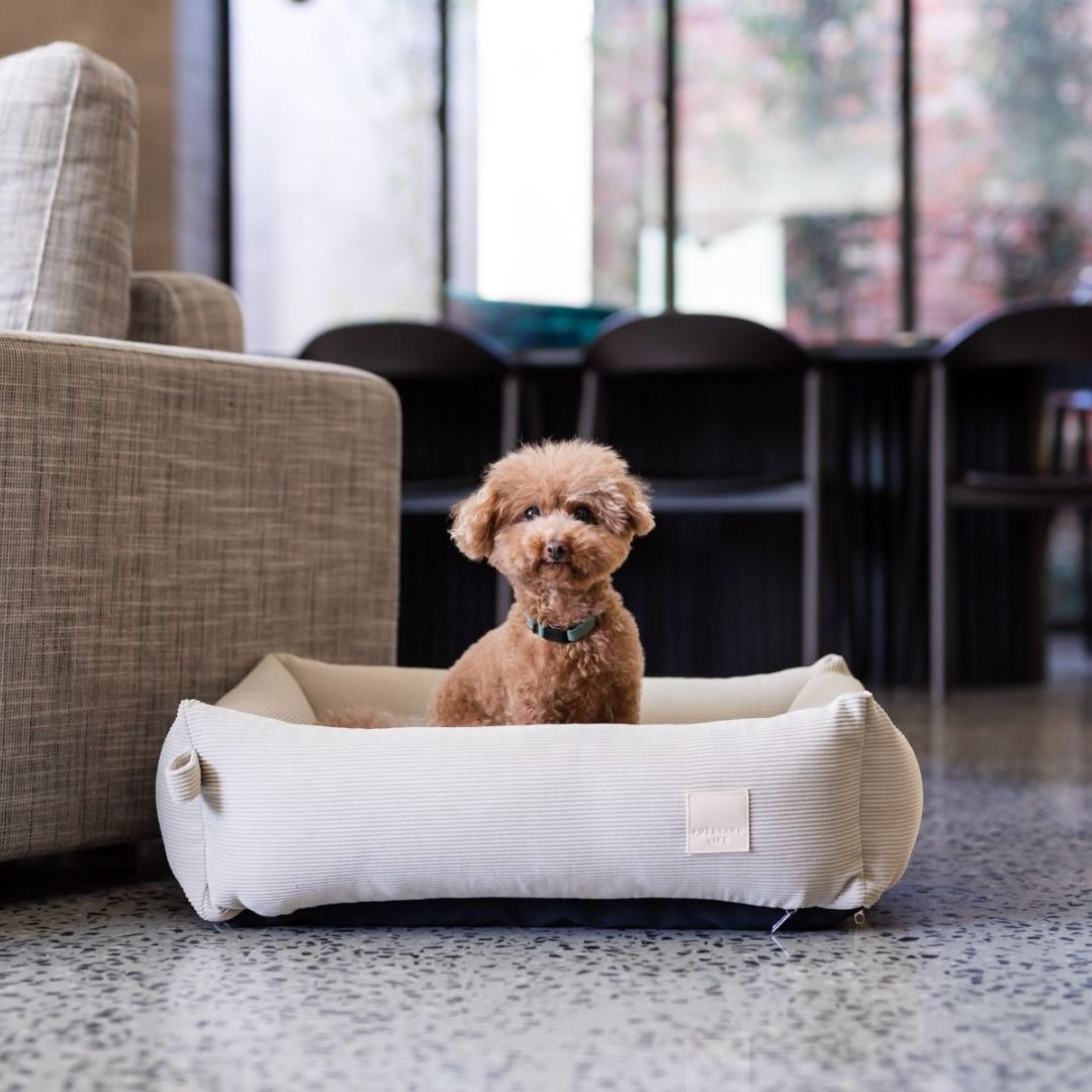 FuzzYard Life Corduroy Dog Bed in Sandstone