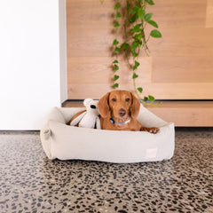 FuzzYard Life Corduroy Dog Bed in Sandstone