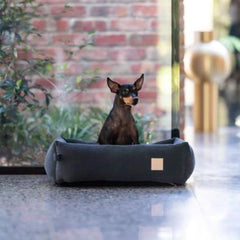 FuzzYard Life Corduroy Dog Bed in Slate Grey
