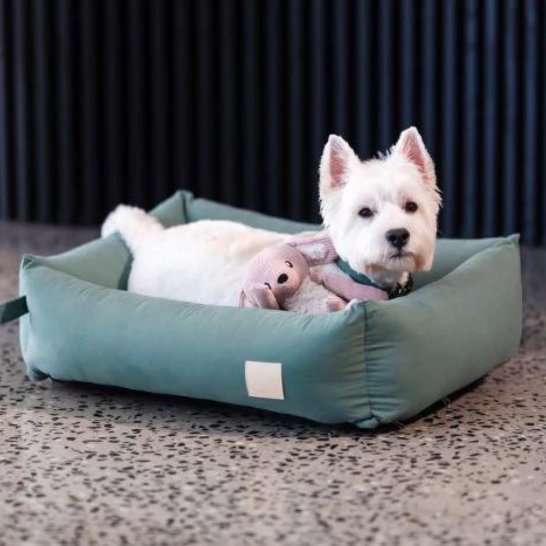 FuzzYard Life Cotton Dog Bed in Myrtle Green