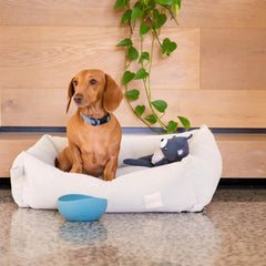 FuzzYard Life Cotton Dog Bed in Sandstone