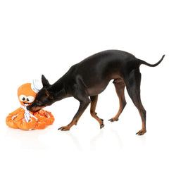 FuzzYard Sailor Squiggles Octo-Posse Dog Toy