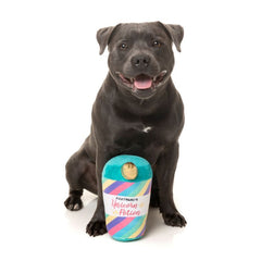 FuzzYard Unicorn Potion Dog Toy