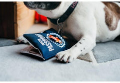 P.L.A.Y Passport Plush Dog Toy