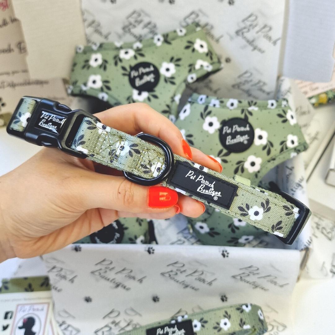 Green Meadow Daisy Dog Collar