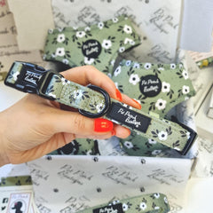 Green Meadow Daisy Dog Collar