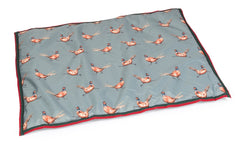 Green Pheasant Reversible Water Resistant Boot Mat by House of Paws