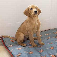 Green Pheasant Reversible Water Resistant Boot Mat by House of Paws