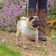 Grey Stars Soft Dog Harness | Mutts and Hounds