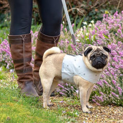 Grey Stars Soft Dog Harness | Mutts and Hounds