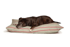 Heritage Herringbone Deep Duvet Dog Bed by Danish Design