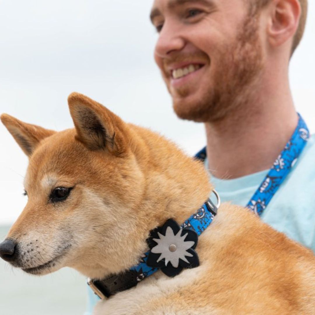 Hiro And Wolf Navy Reflective Flower Accessory for Dog Leads and Collars