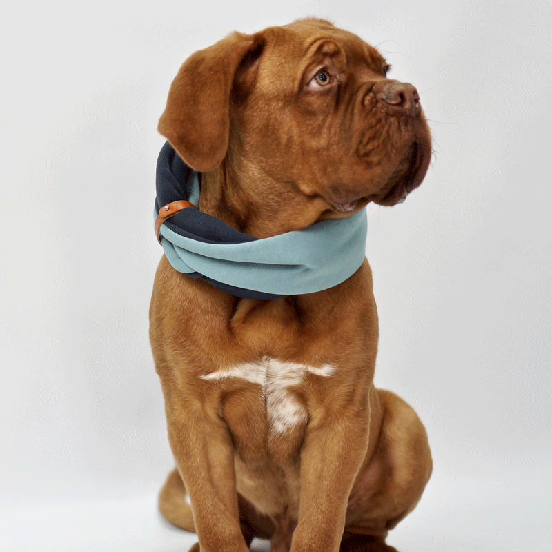 Simo Turquoise & Iron Double Dog Scarf by Labbvenn