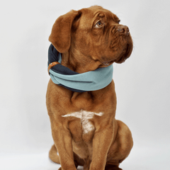 Simo Turquoise & Iron Double Dog Scarf by Labbvenn