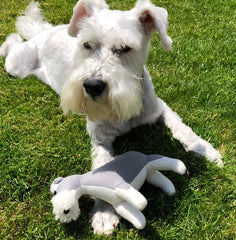 Schnauzer Knitted Dog Toy | English Hound