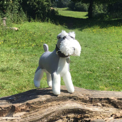 Schnauzer Personalised Gift For Dog Lovers by English Hound