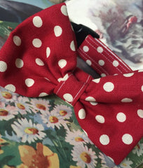 Mrs Phillips Bow Tie Designer Dog Collar | Scrufts