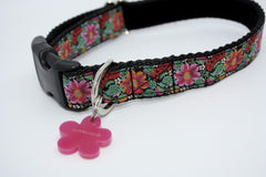 Frida Designer Dog Collar by Scrufts