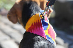 Hiro And Wolf Dakar Dog Bandana