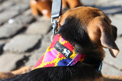 Hiro And Wolf Dakar Dog Bandana