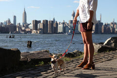 Dakar Classic Dog Lead by Hiro and Wolf