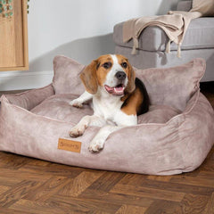 Kensington Box Dog Bed - Cream