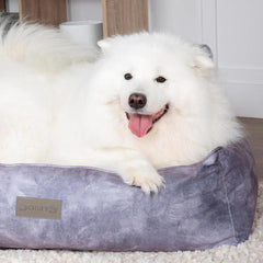 Kensington Box Dog Bed - Grey