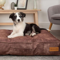 Kensington Mattress Dog Bed - Chocolate | Scruffs